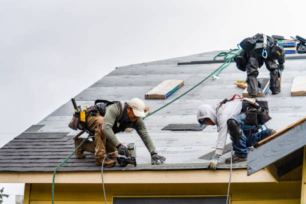 Professional Gutter Installation technician working in Chicora, PA